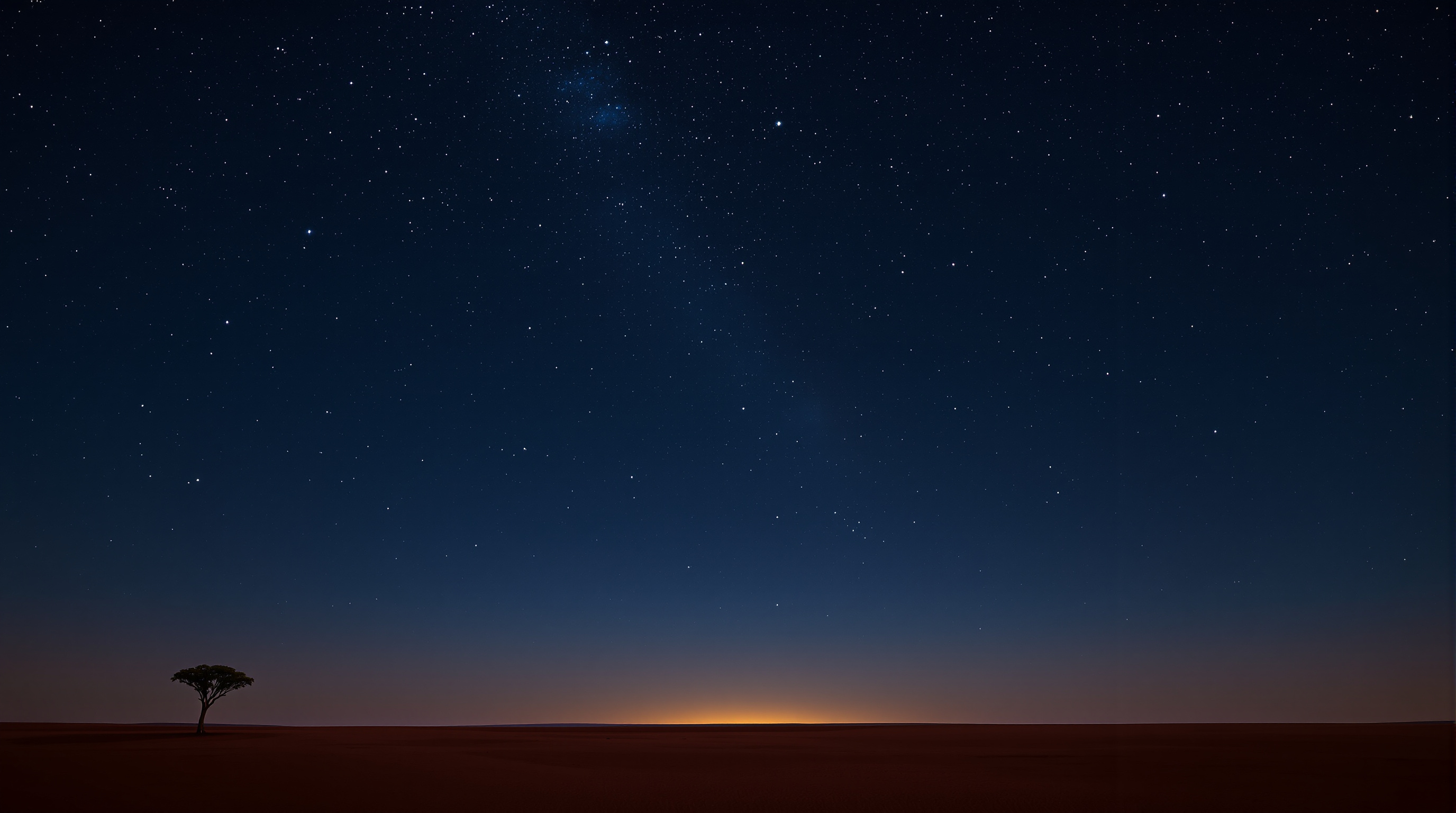 Illustrated South Australian outback beneath a star-filled sky